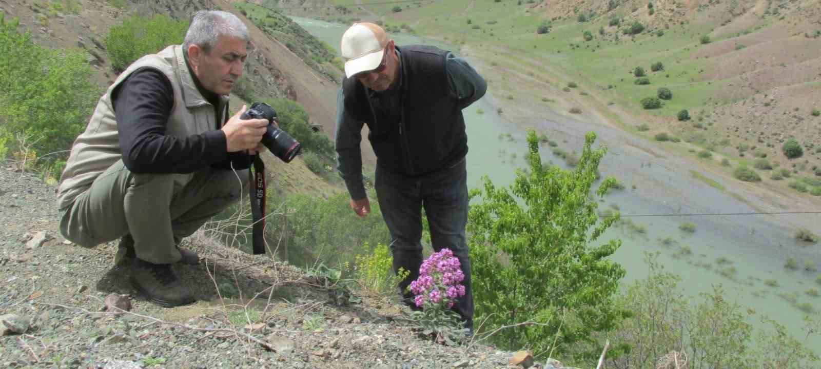 Elazığ’da Ulusal Biyolojik Çeşitlilik ve Envanter İzleme Projesi çalışması