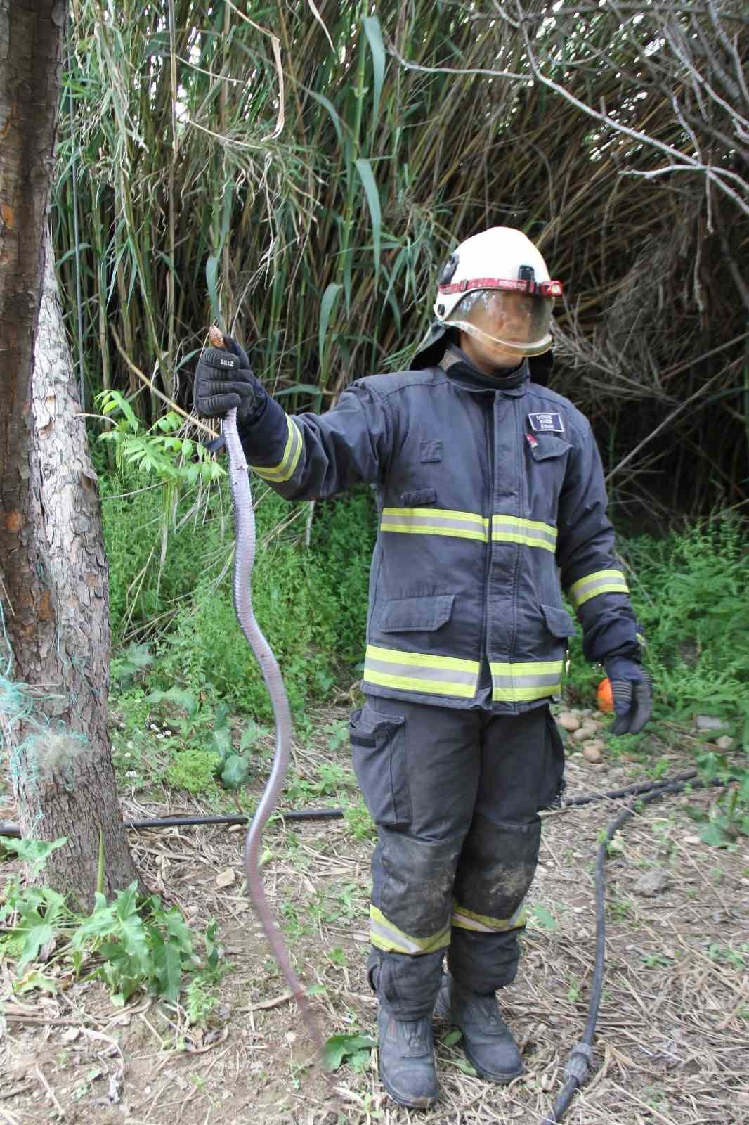 Serik&rsquo;te ağlara dolanan yılanı itfaiye kurtardı
