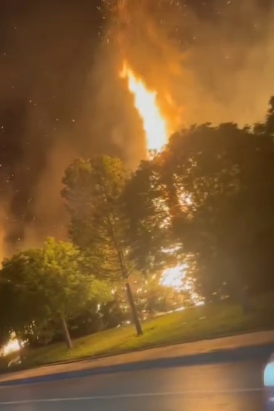 Sultangazi’de ormanlık alanda korkutan yangın