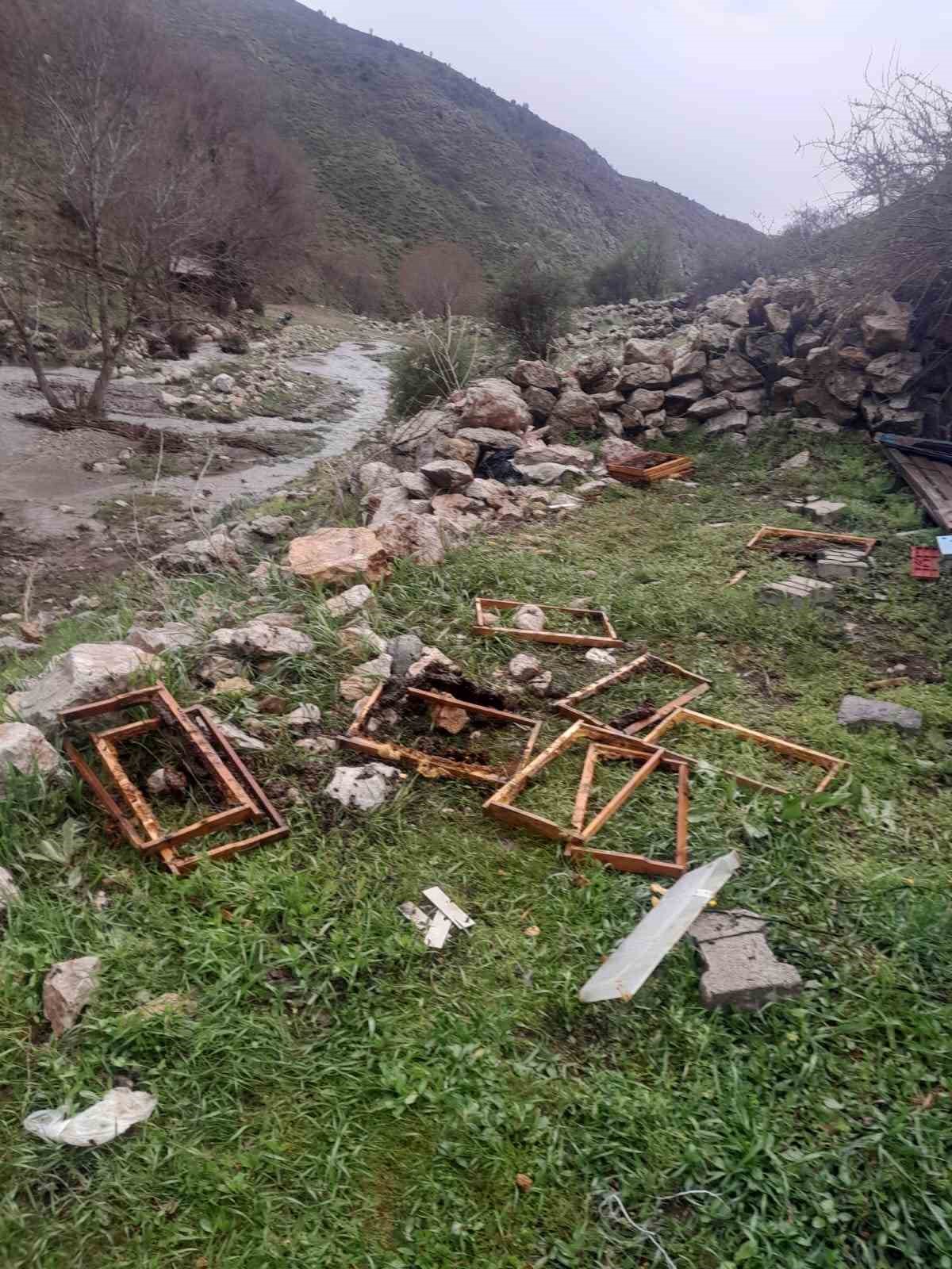 Kayseri’de ayılar arı kovanlarına saldırdı