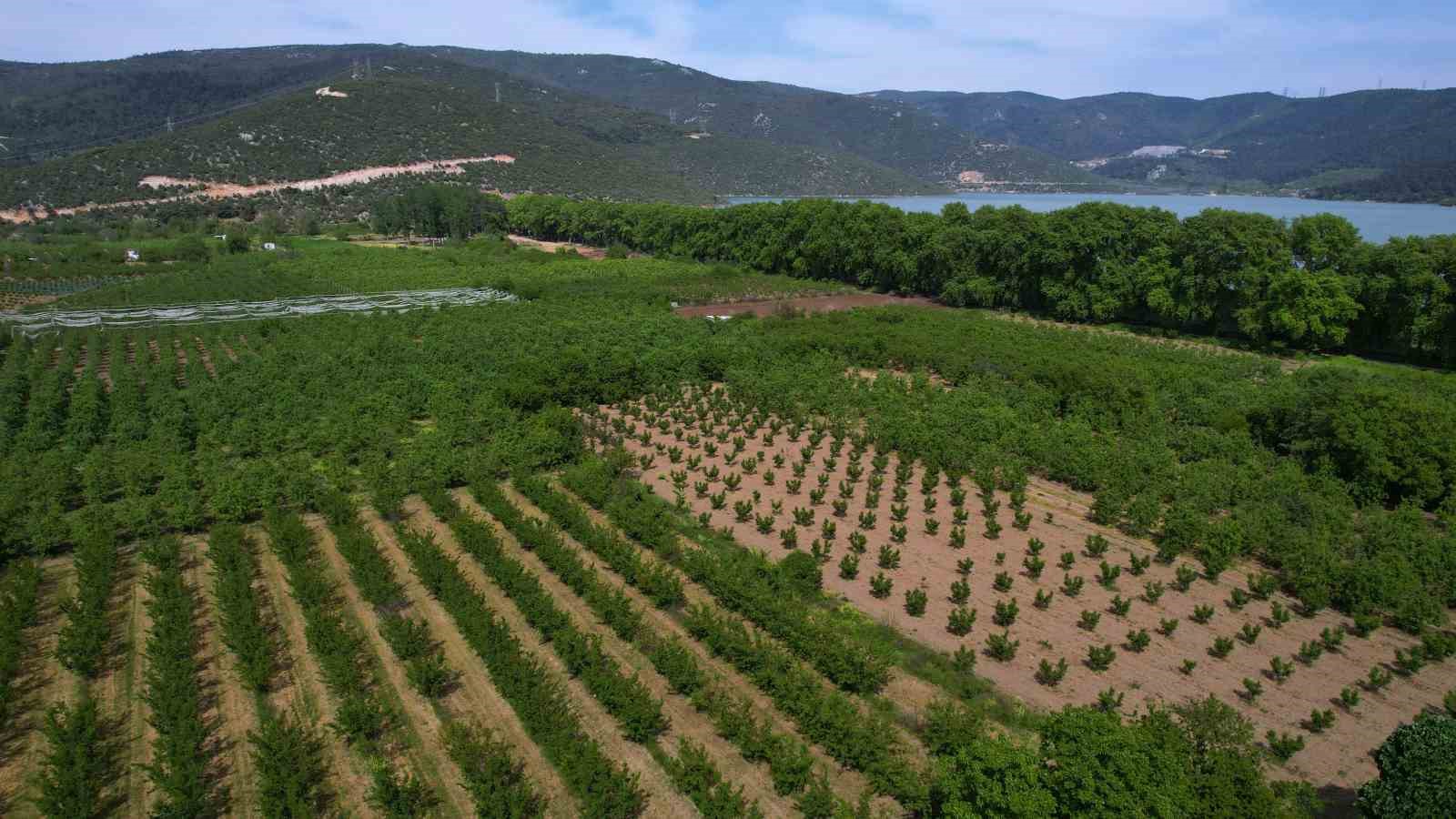Devletin tarım arazilerine el koyacağı iddiası ger&ccedil;eği yansıtmıyor
