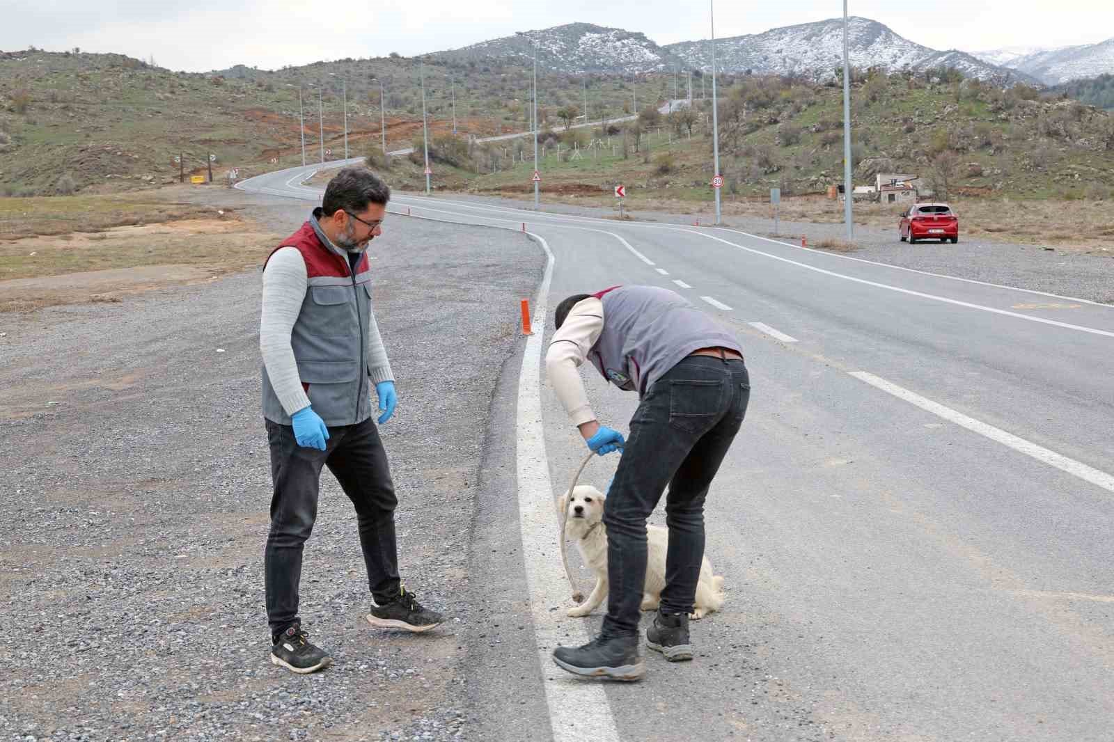 Talas Pati Evi, sahipsiz canlara yuva oluyor
