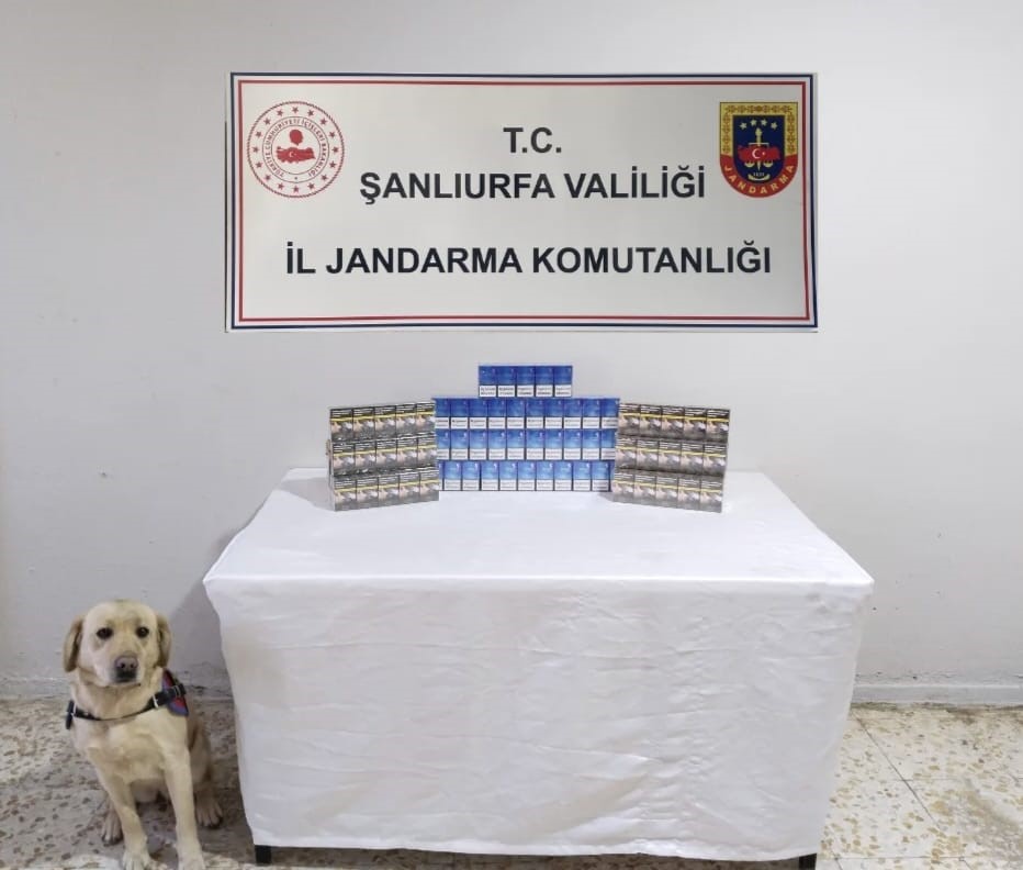 Şanlıurfa’da 980 paket gümrük kaçağı sigara ele geçirildi