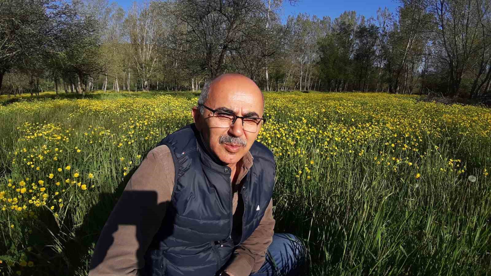 Bolu’da bahar güzelliği
