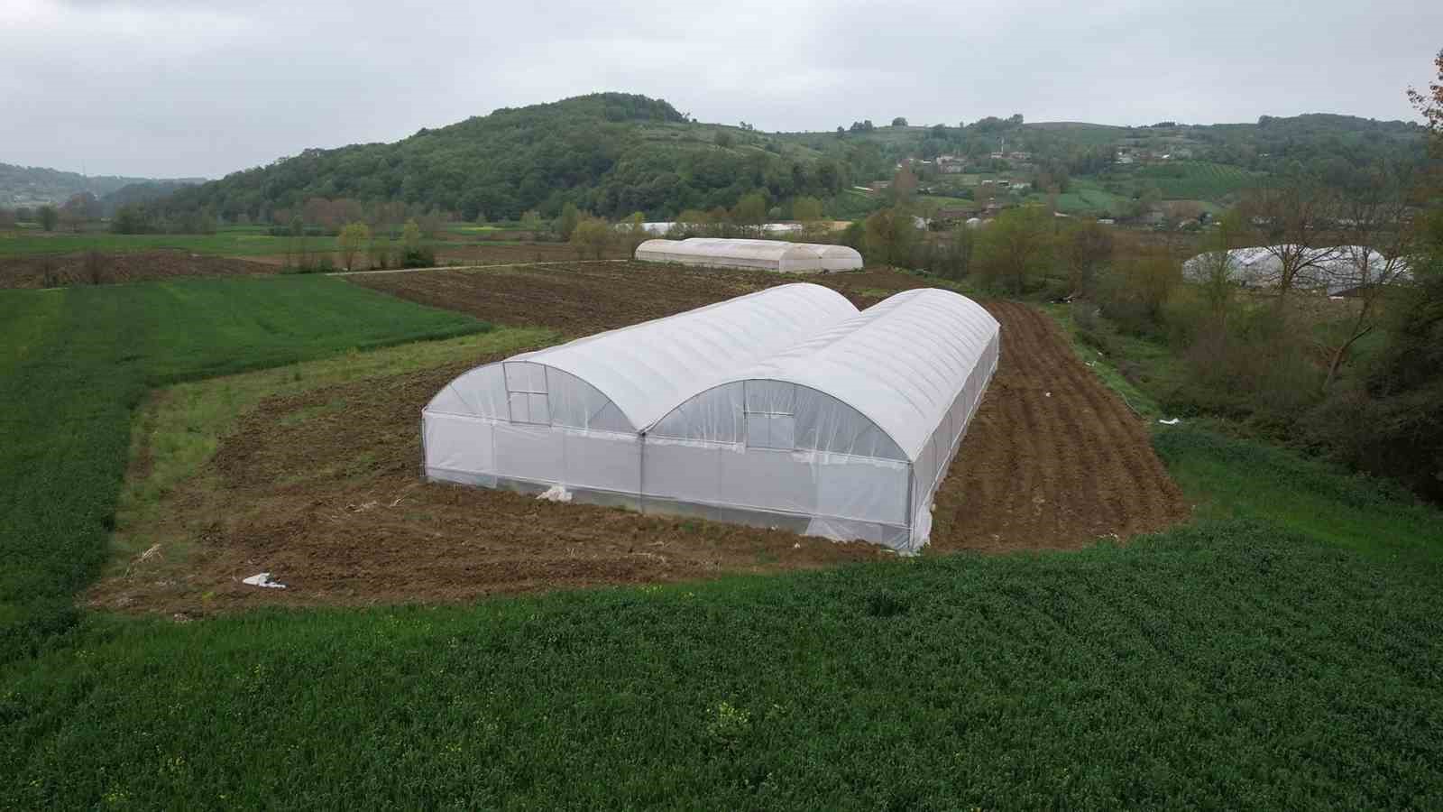 Üreticilere sera desteği