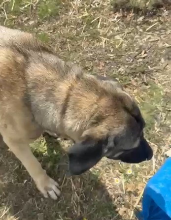 Yozgat&rsquo;taki g&ouml;r&uuml;nt&uuml; tepki &ccedil;ekmişti, asıl nedeni belli oldu
