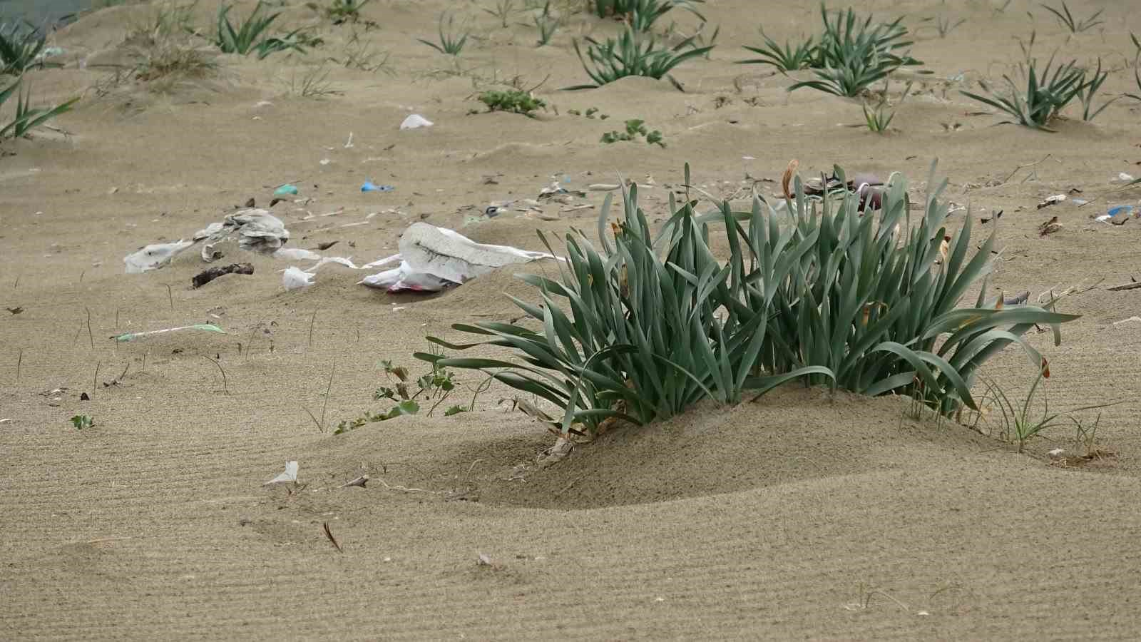 Sinop&rsquo;ta &ccedil;evre seferberliği
