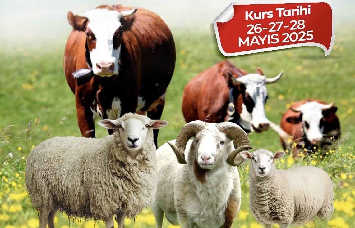 Malatya Büyükşehir Belediyesi’nden kurban kesim kursu