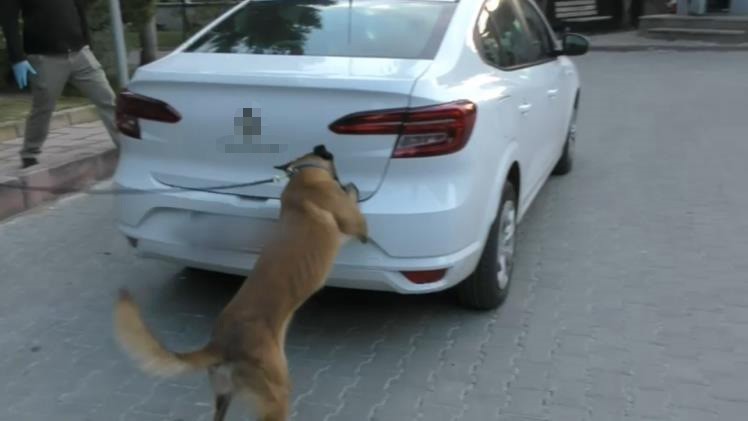 Bolu’da zehir tacirlerine geçit yok: 12 gözaltı