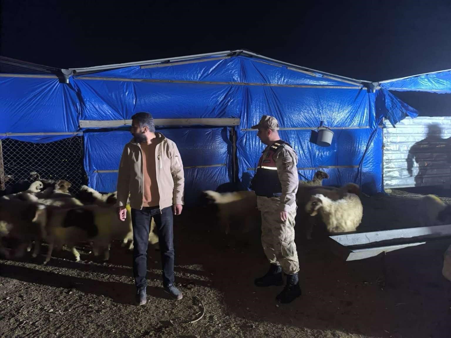 Kilis İl Jandarma Komutanlığı kayıp küçükbaş hayvanları buldu