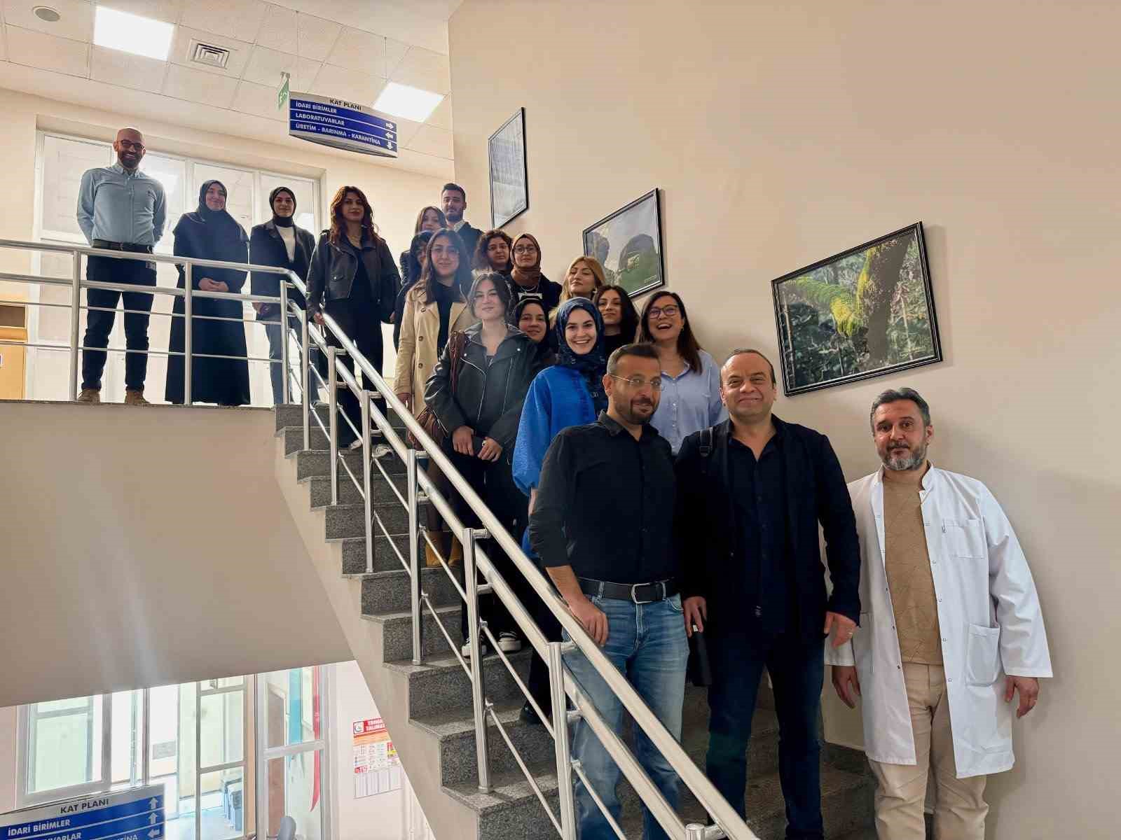 Deneysel çalışmalara kazandırıldı