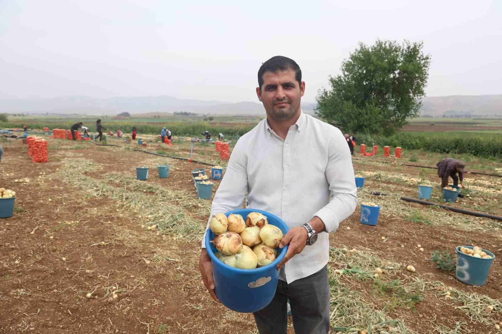Don ve kuraklığın rekolteyi etkilemediği soğan, tarladan 8 TL’den alıcı buluyor 