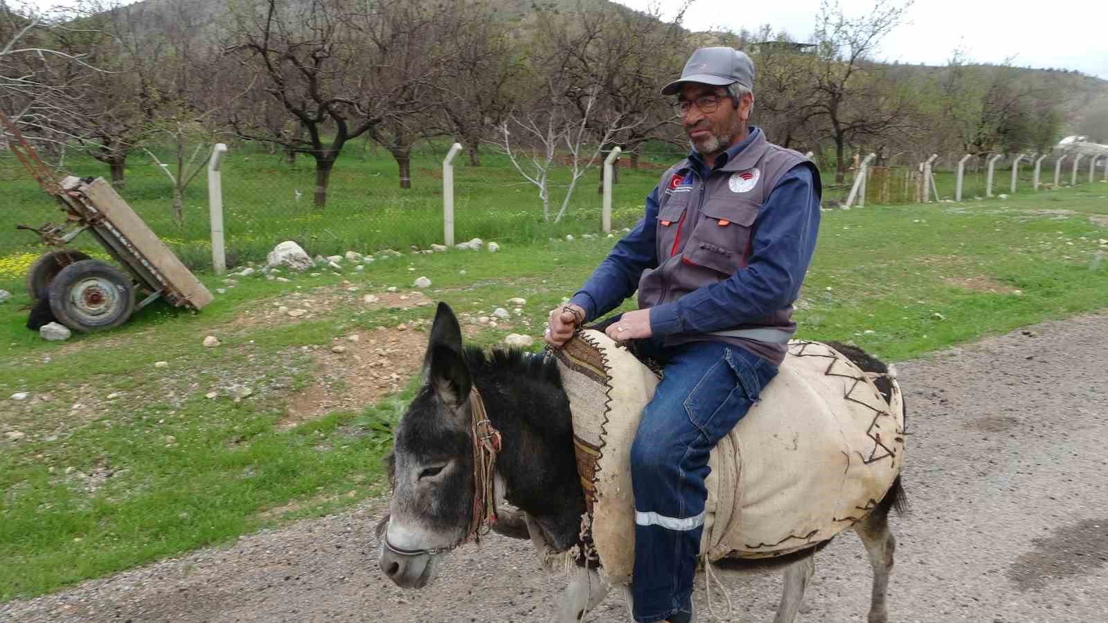 Malatyalı yetiştirici, eşeği Kadife’ye gözü gibi bakıyor