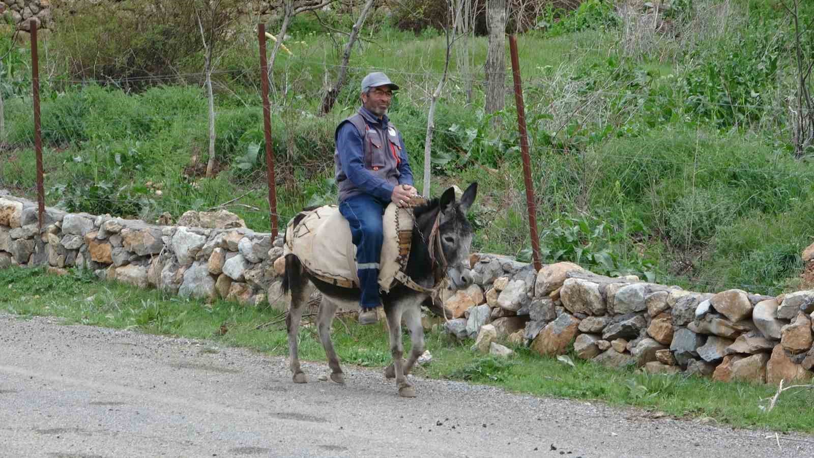 Malatyalı yetiştirici, eşeği Kadife&rsquo;ye g&ouml;z&uuml; gibi bakıyor
