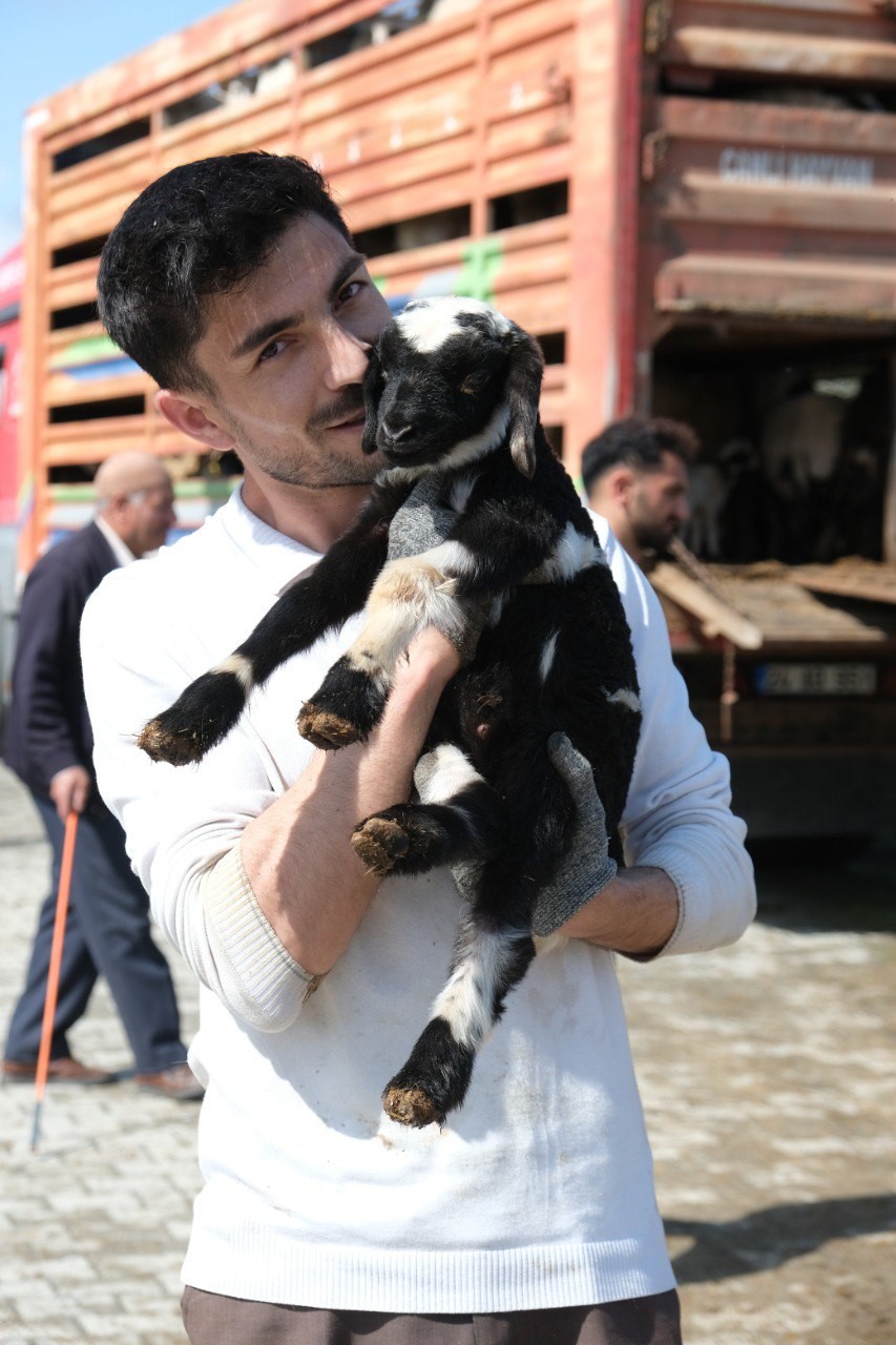 Erzincan&rsquo;da yayla g&ouml;&ccedil;&uuml; başladı: Şavaklı &uuml;reticiler emek yolculuğunda
