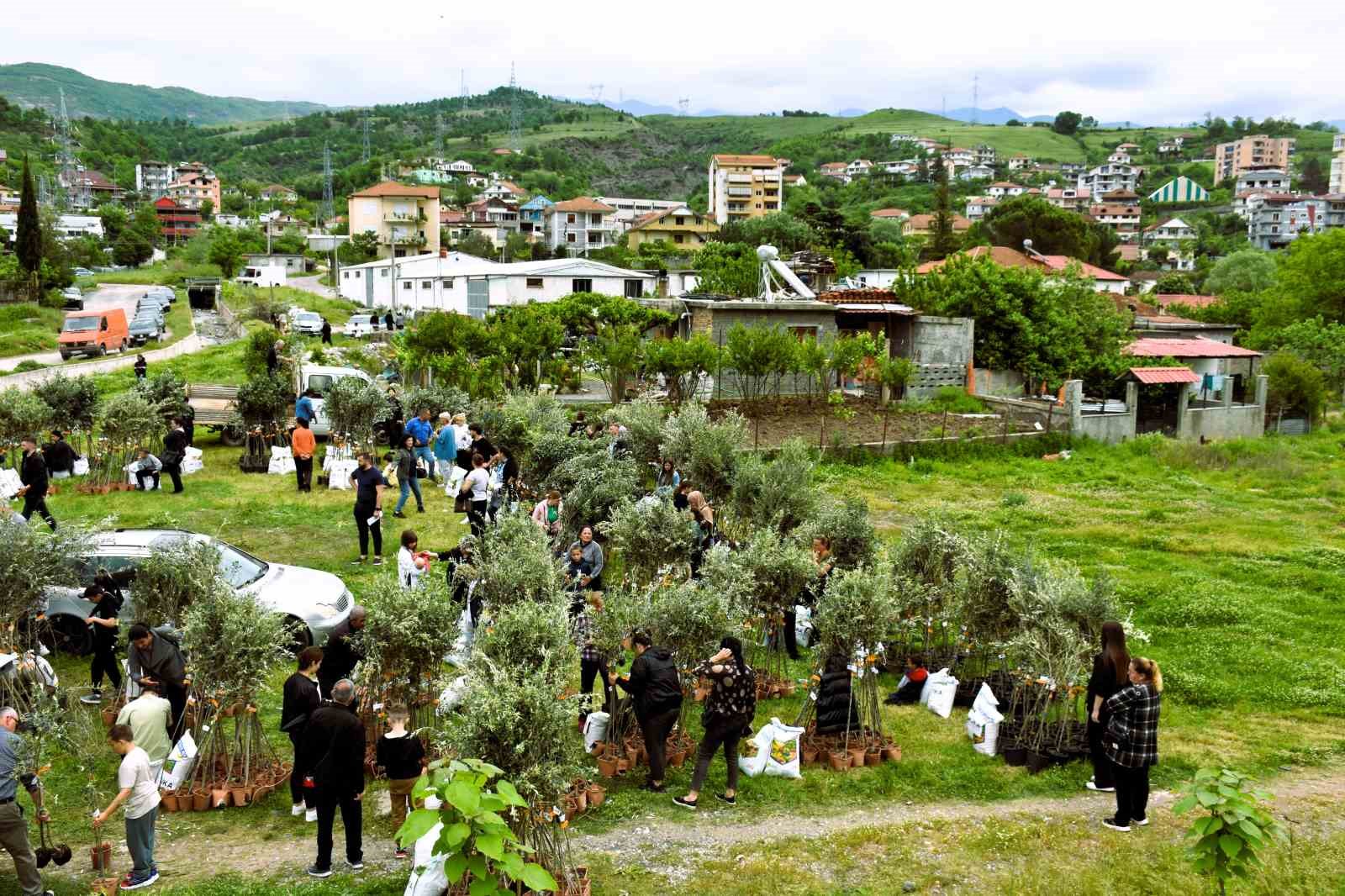 TİKA’dan Arnavutluk’taki yetim ailelere zeytin fidanı ve gübre desteği
