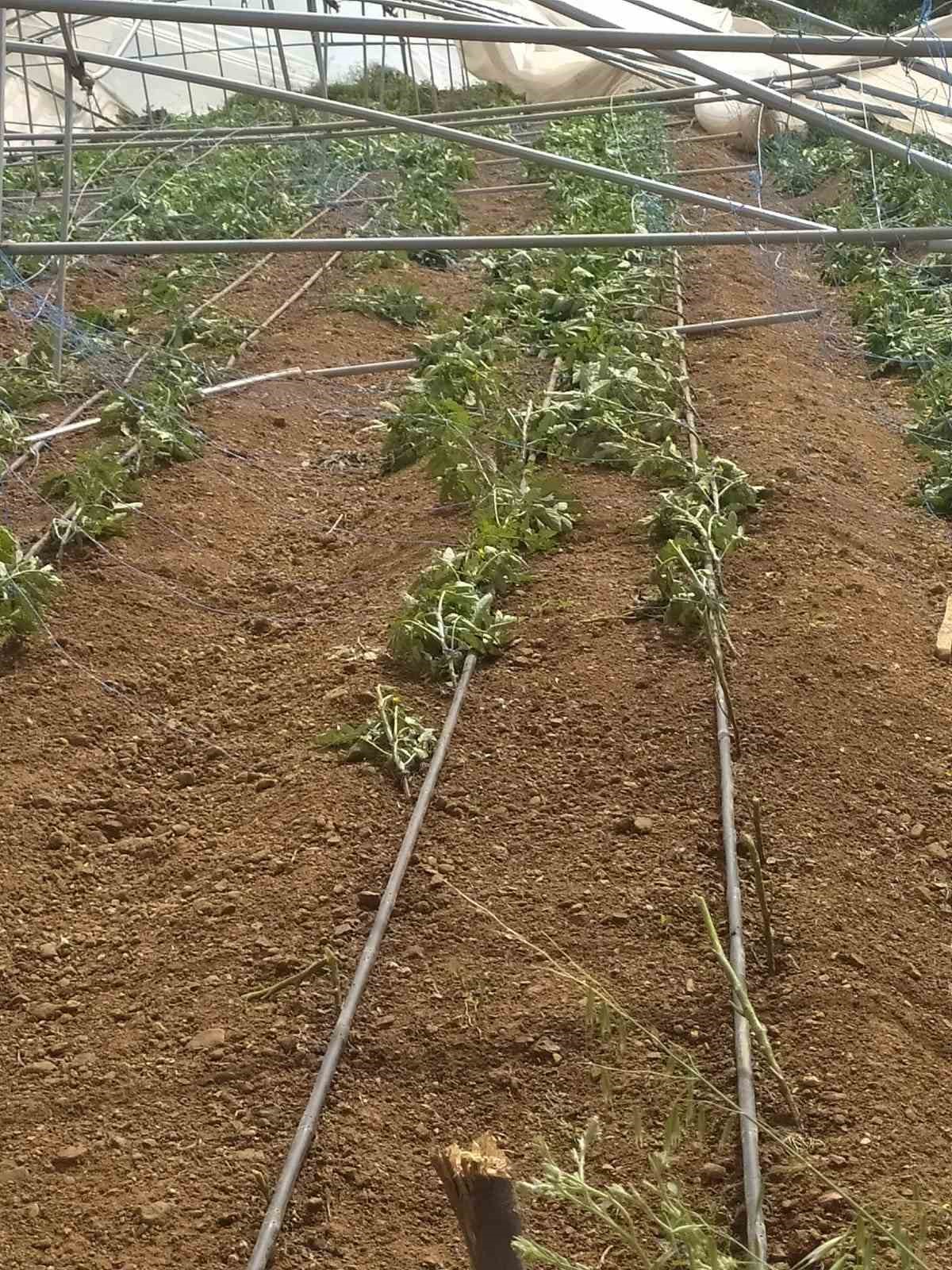 Derecik’te şiddetli fırtına: Seralarda maddi hasar oluştu
