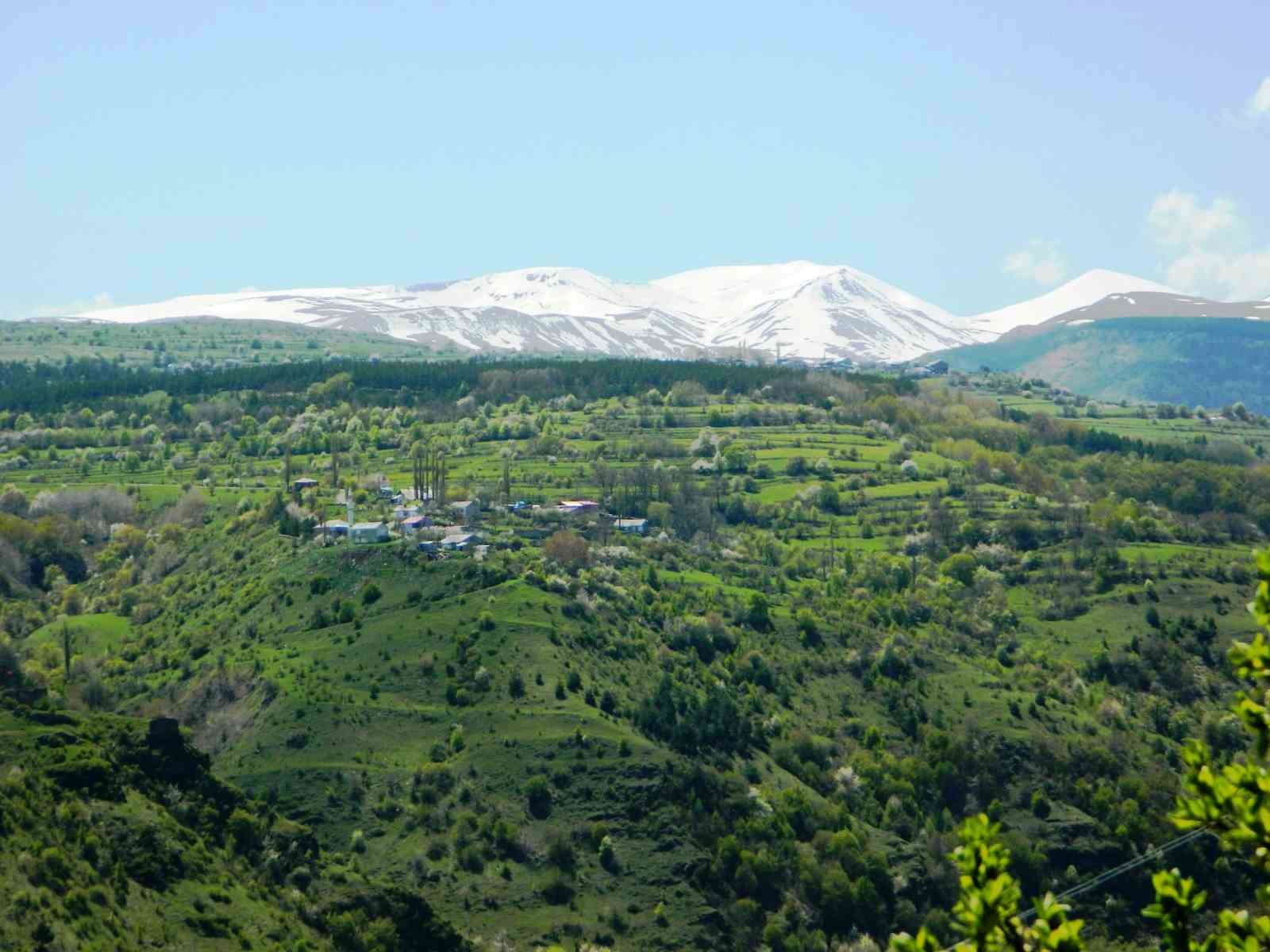 Posof’ta baharla gelen güzellikler