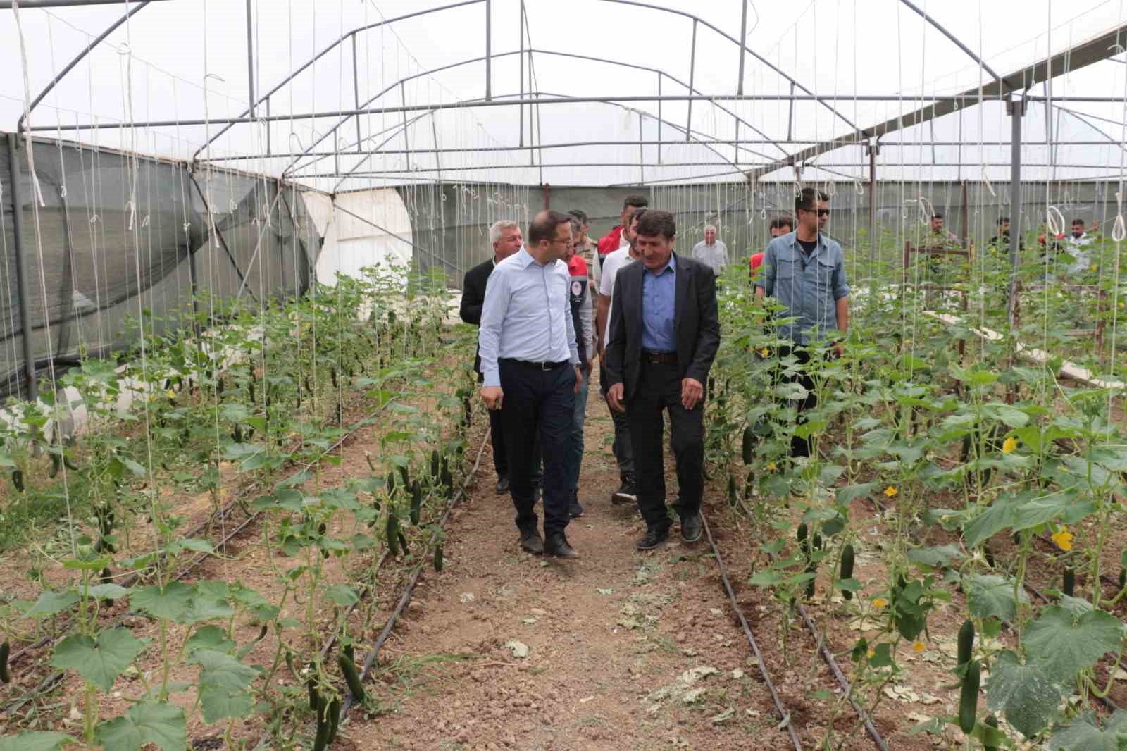 Cizre&rsquo;de 2,5 milyon TL değerinde 50 &ccedil;ift&ccedil;iye verilen badem ve fıstıkların dikimi yerinde inceleme
