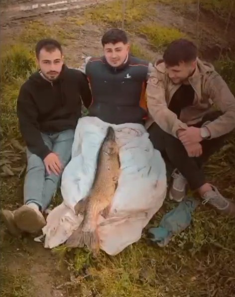 Tuttuğu 14 kiloluk turnayı bebek gibi kucağında salladı