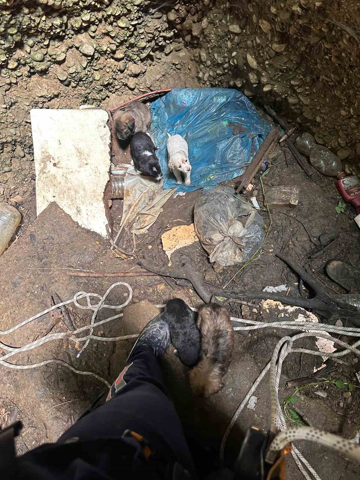 Antalya’da kuyuya düşen 7 yavru köpeği itfaiye kurtardı