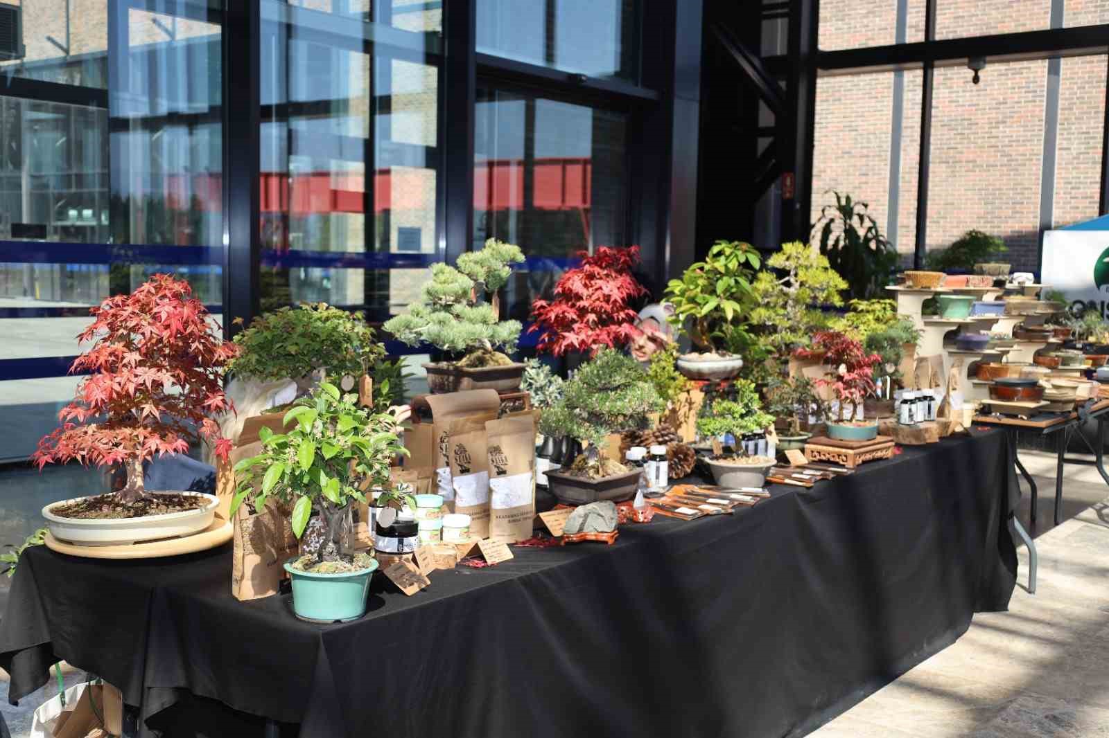 Doğa ve sanat tutkunları bonsai sanatı ile tanıştı