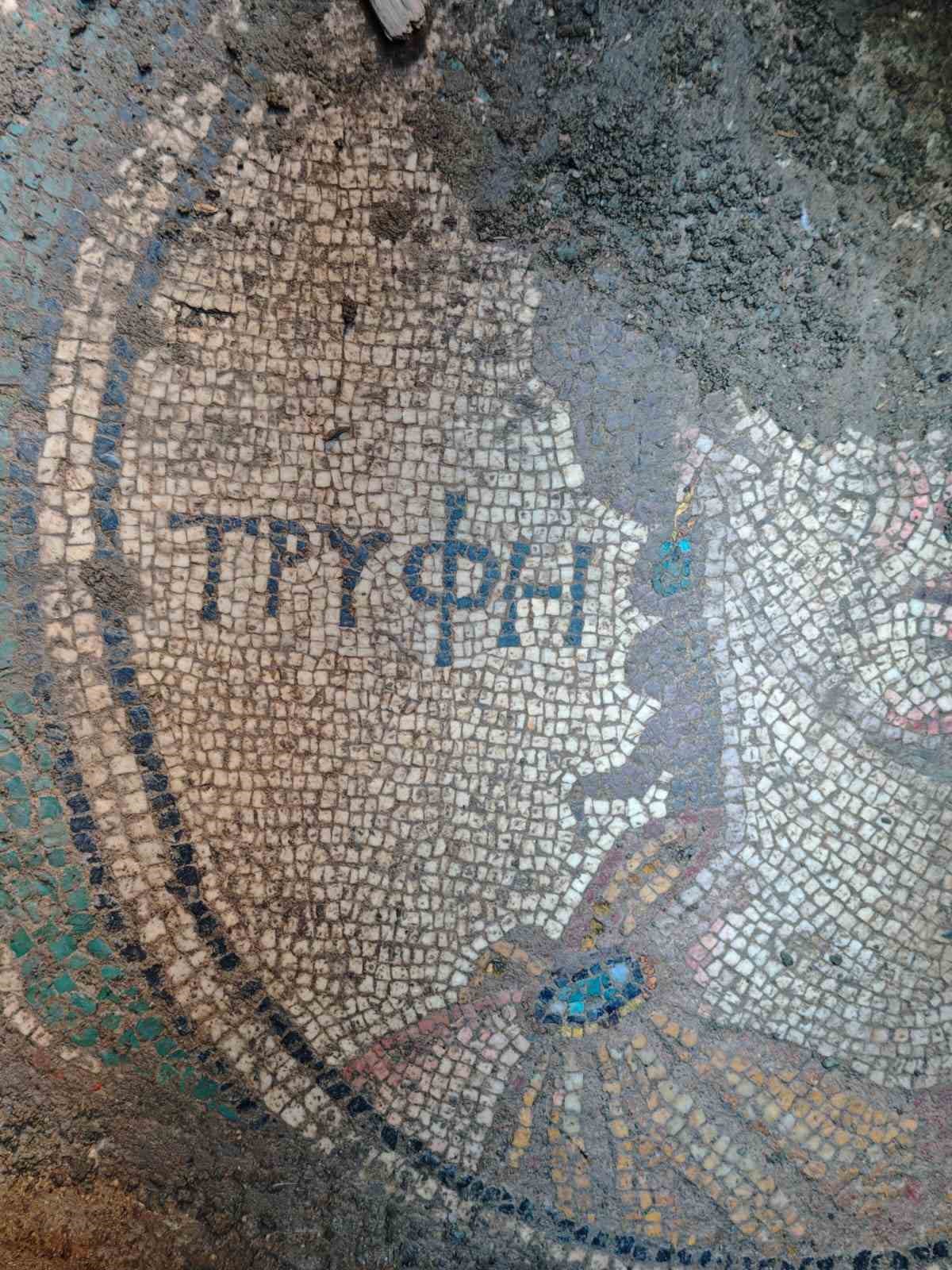 Kaçak kazı Roma mozağini ortaya çıkarttı
