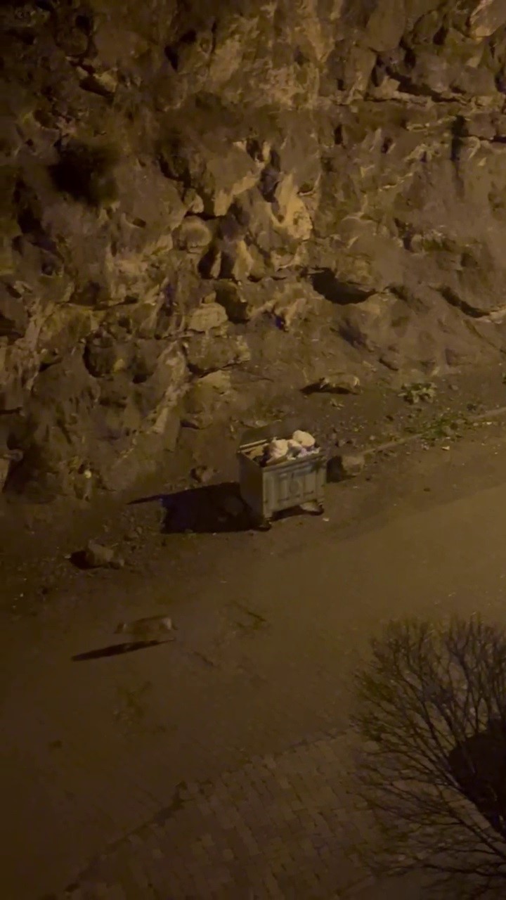 Kurt sürüsü ilçe merkezine indi