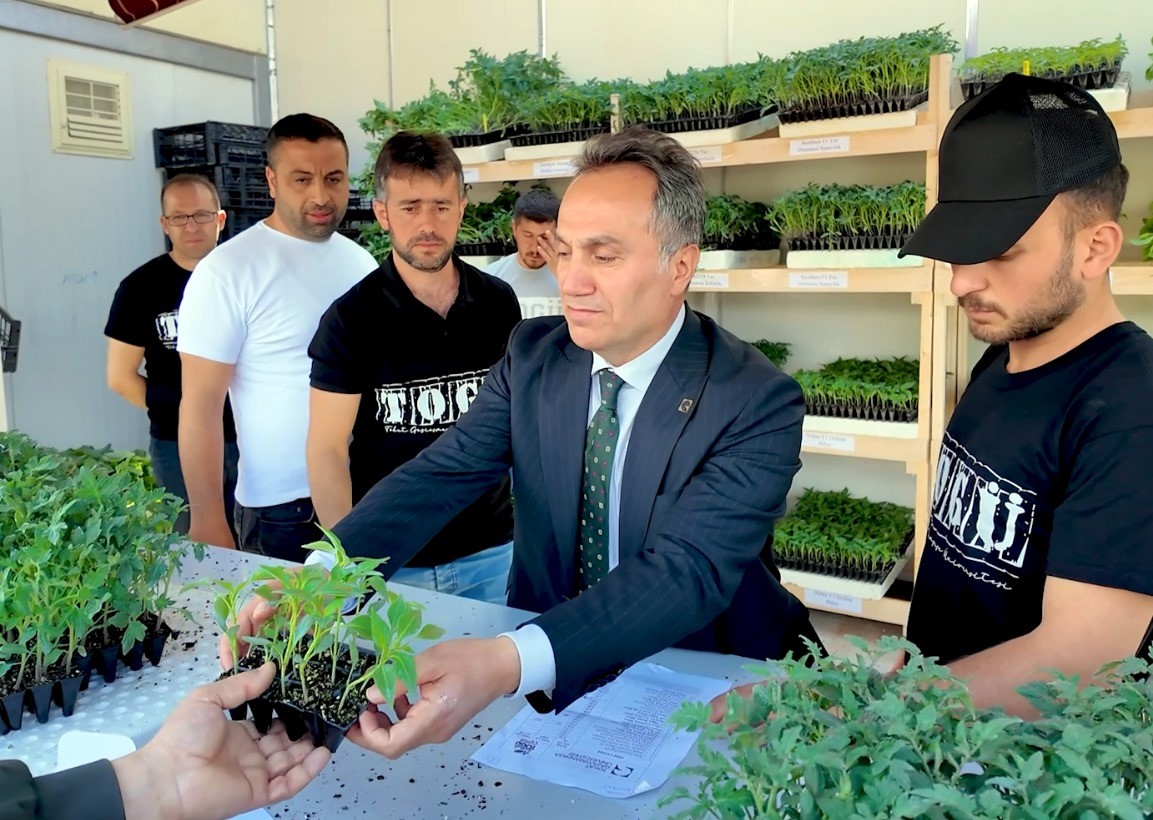 TOGÜ 1 milyon fideyi üreticiyle buluşturacak
