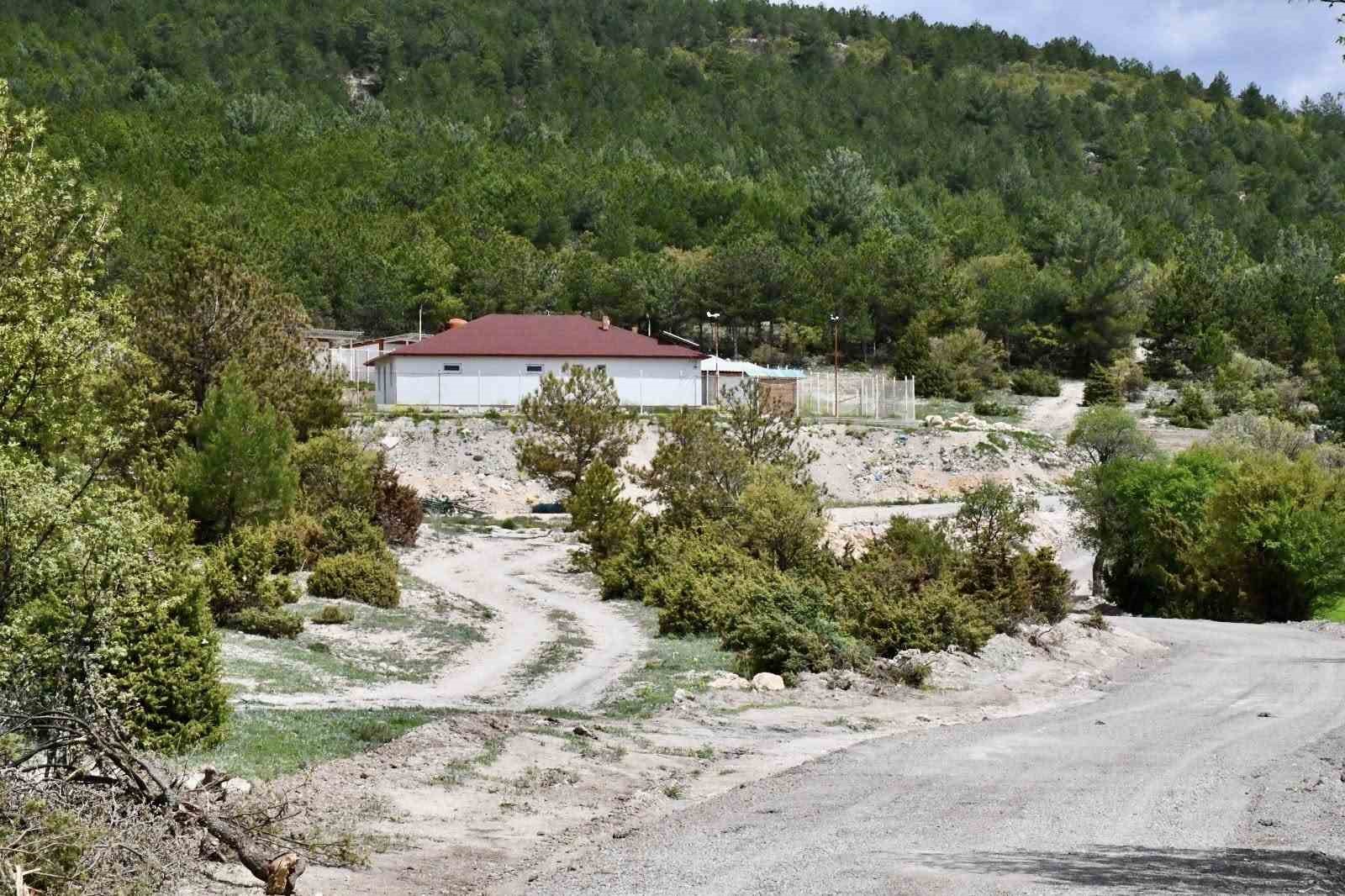 Emet&rsquo;te hayvan barınağı yapım &ccedil;alışmaları
