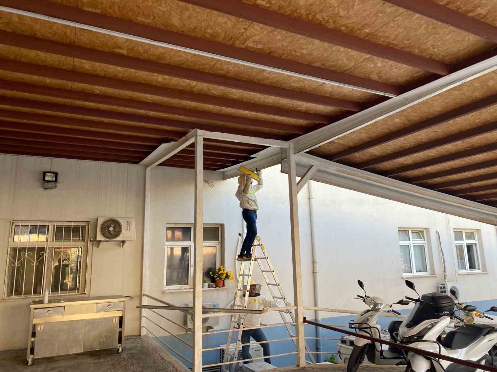 Antalya’da hastane bahçesinde oğul veren arılar toplandı
