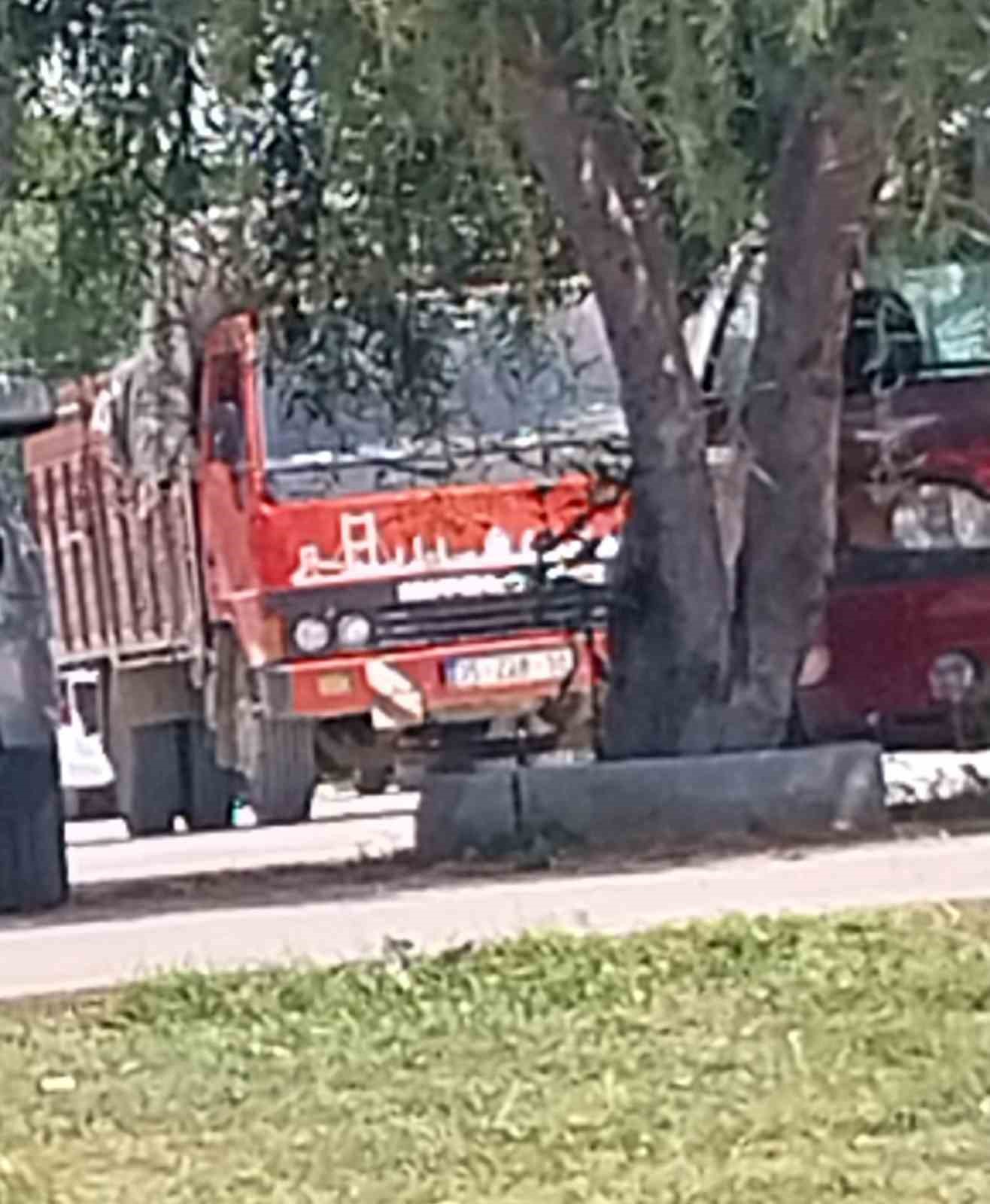 Kamyonette &ccedil;ıkıp &ccedil;am ağacına sı&ccedil;rayan yangın s&ouml;nd&uuml;r&uuml;ld&uuml;
