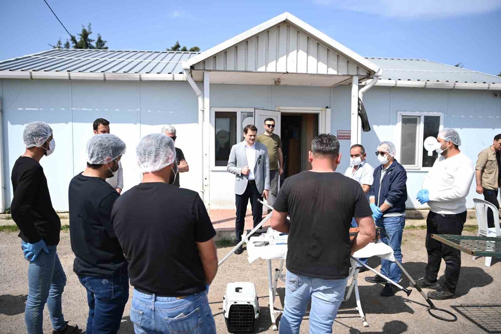 Sinop&rsquo;ta sahipsiz hayvanların toplanmasına y&ouml;nelik eğitim
