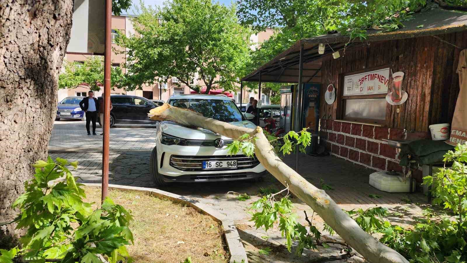 Çınar ağacının kopan dalı lüks araçta hasara yol açtı