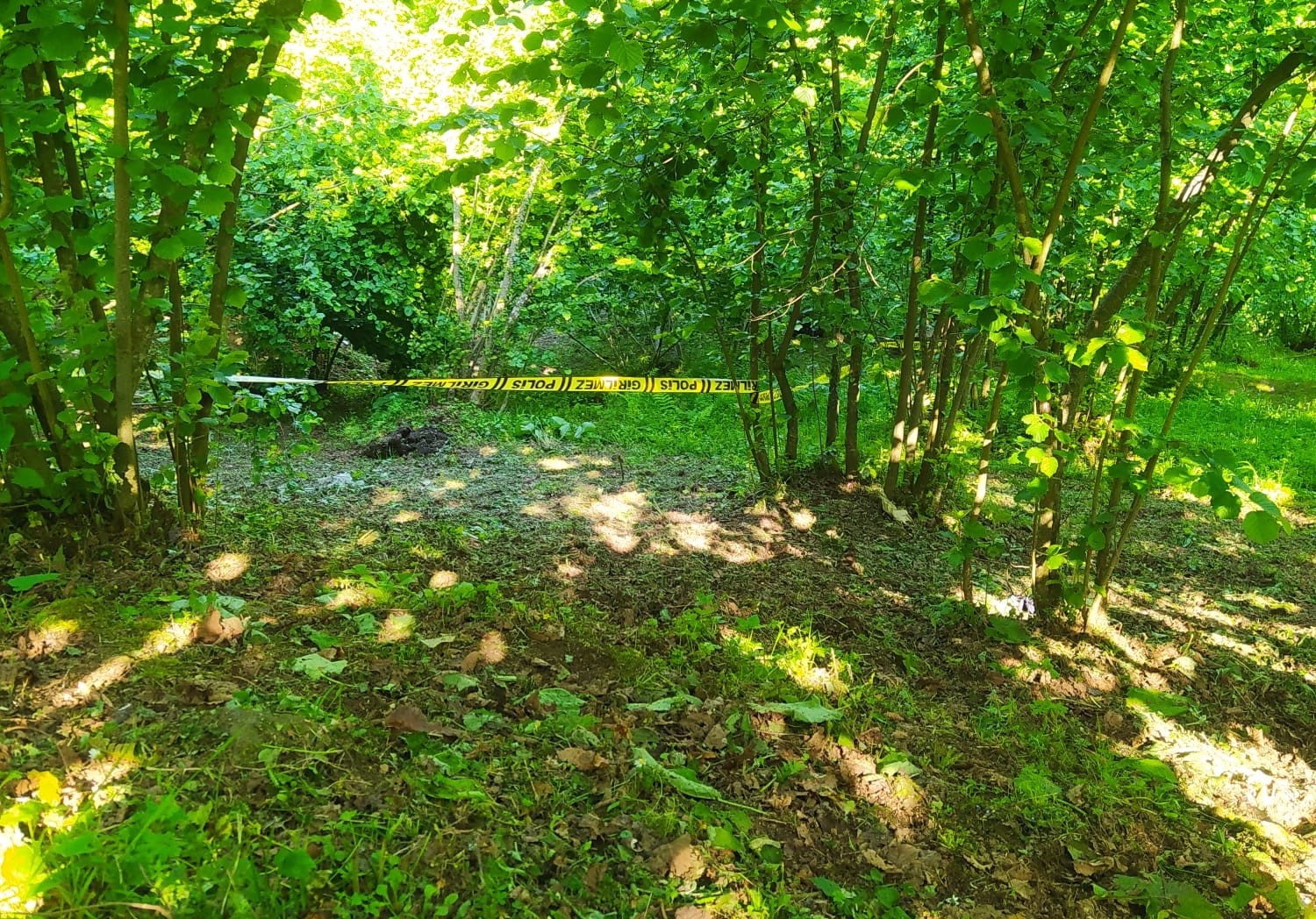 Ordu’da yaşlı adam, fındık bahçesinde ölü bulundu