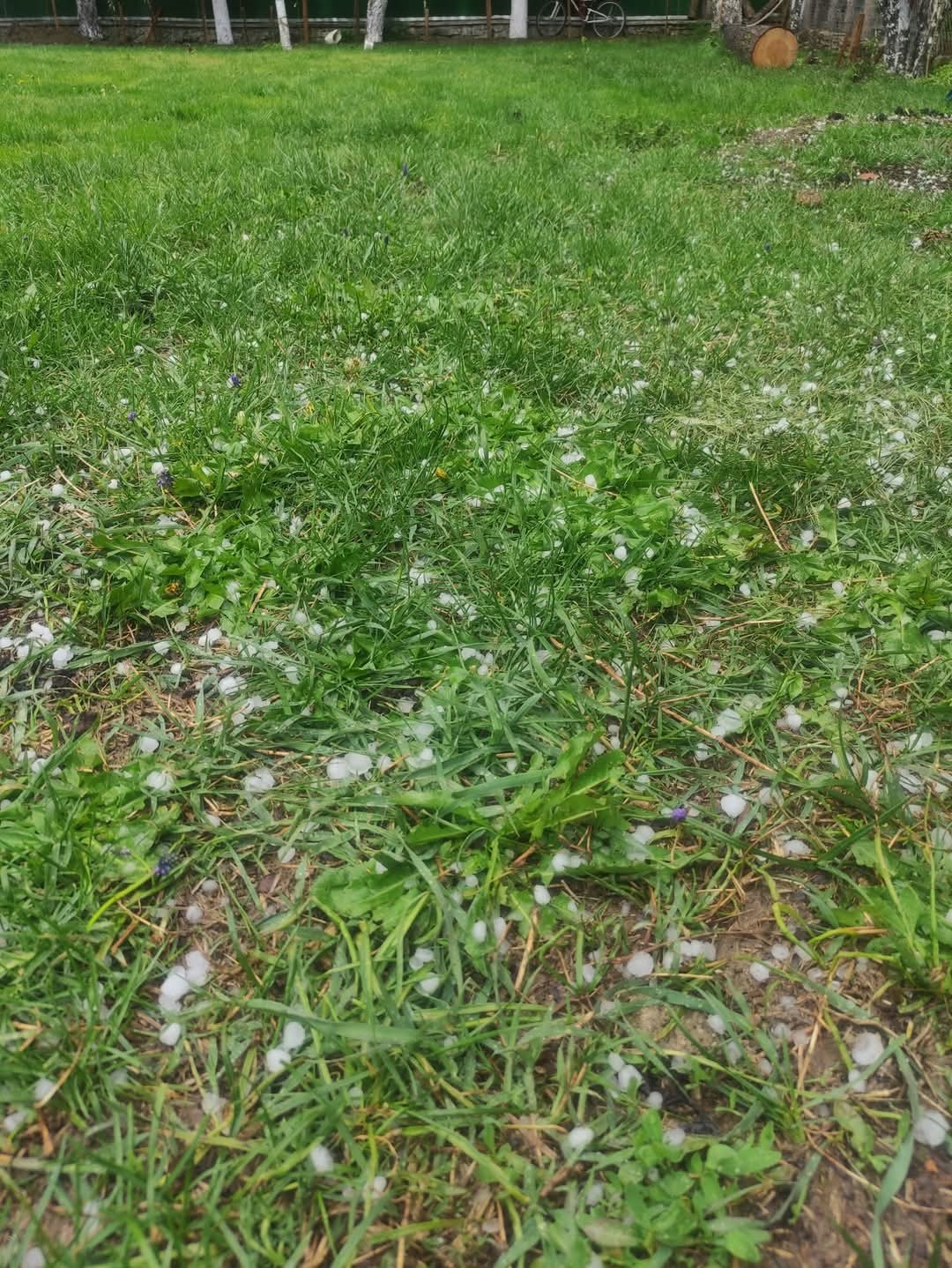 Karabük’te dolu yağışı hayatı olumsuz etkiledi