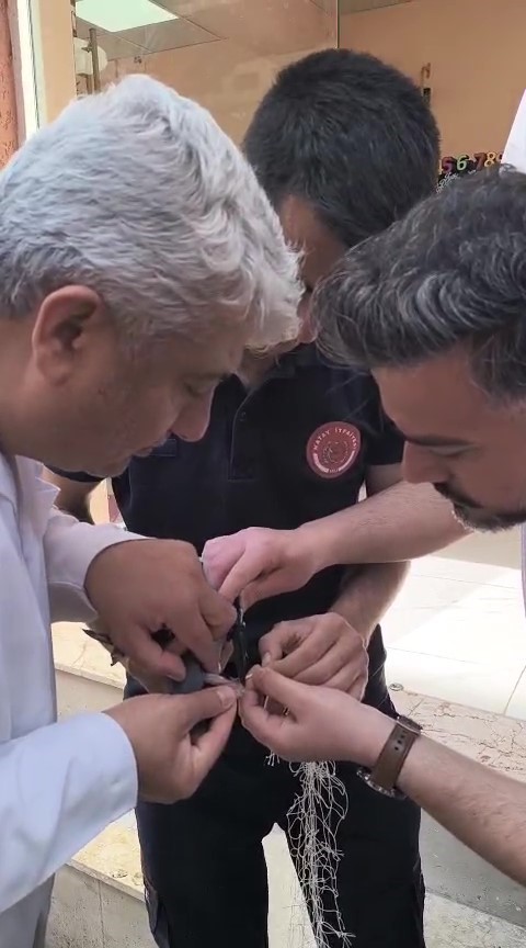 Balkondaki ağda mahsur kalan g&uuml;vercini itfaiye kurtardı
