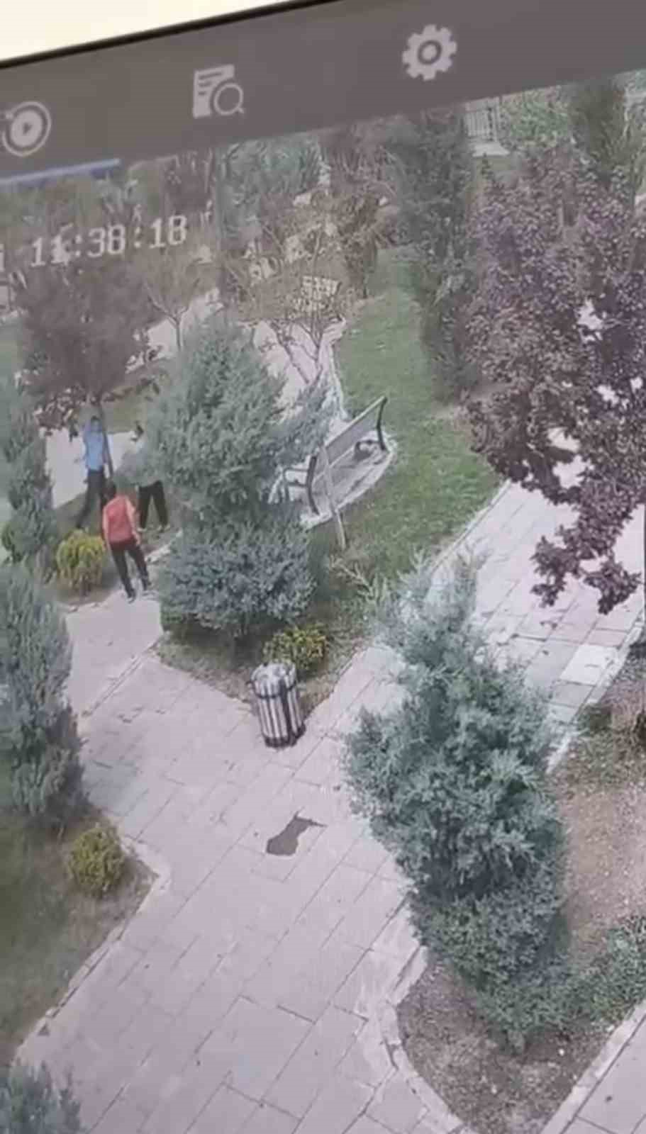 Mardin’de ağaçlara zarar veren bir grup genç, güvenlik kameralarına yakalandı