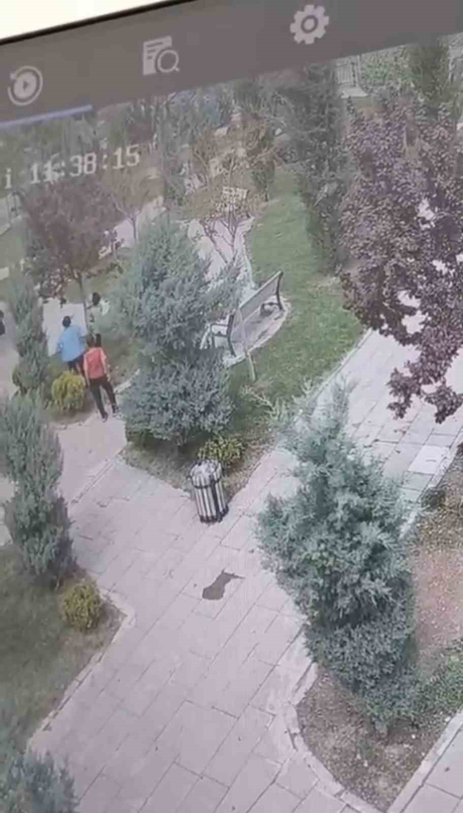 Mardin’de ağaçlara zarar veren bir grup genç, güvenlik kameralarına yakalandı

