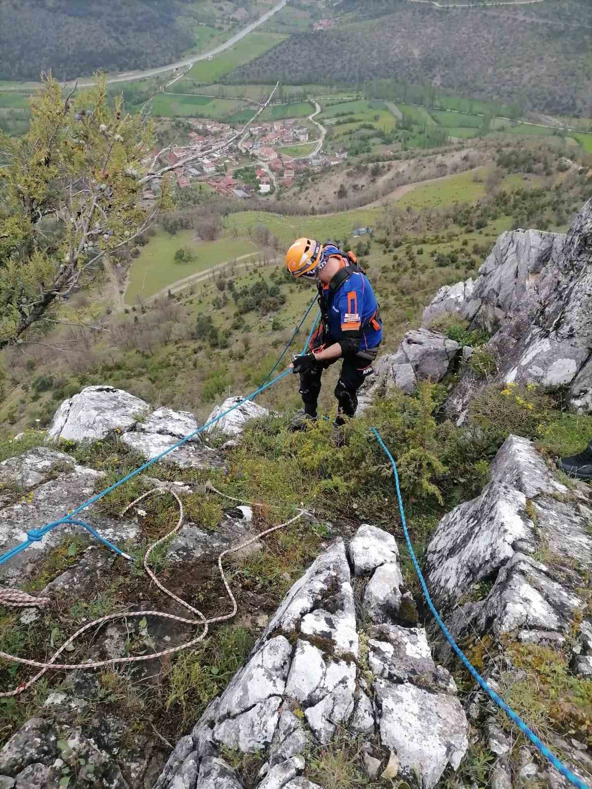 Kayalıklarda mahsur kalan ke&ccedil;iyi AFAD ekipleri kurtardı
