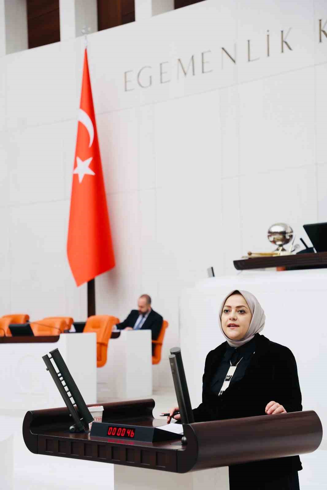 Milletvekili &Uuml;n, "Kadınların ev i&ccedil;i emeği mutlaka karşılık bulmalıdır"
