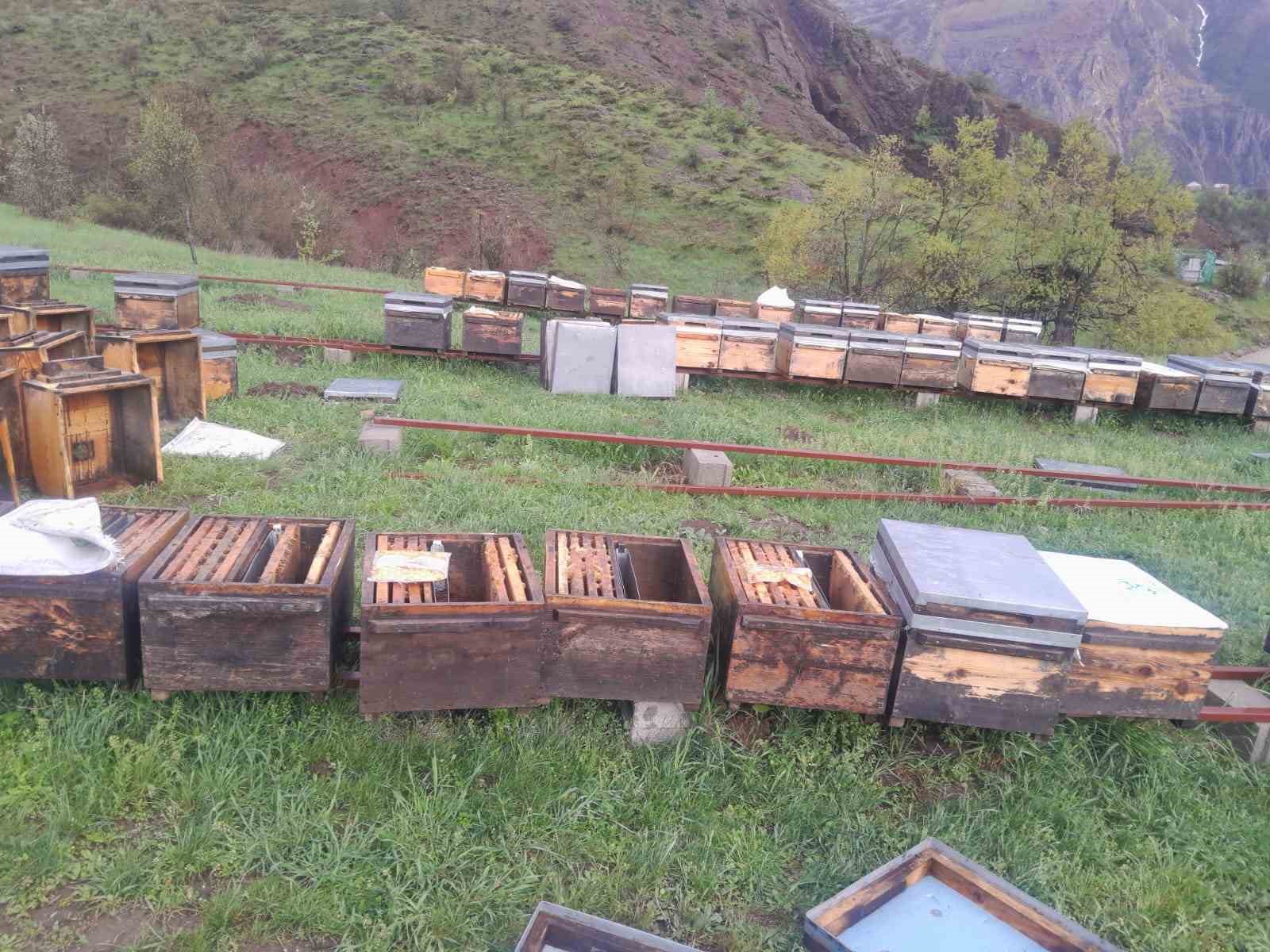 Tunceli Arı Yetiştiricileri Birliği Başkanı Doğan, "Fırtınadan zarar gören arıcılar TARSİM’e başvurmalı"