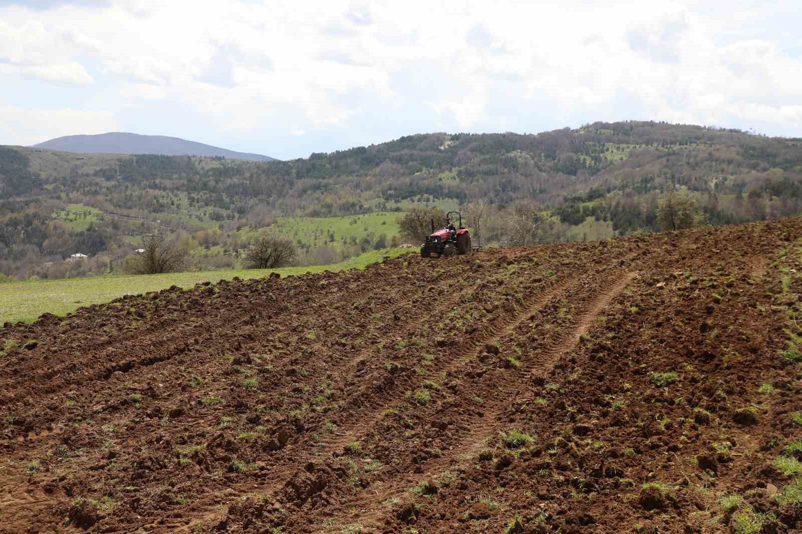 Ordu’nun atıl arazileri bereketleniyor: 34 bin 800 dekar atıl arazi tarıma kazandırıldı