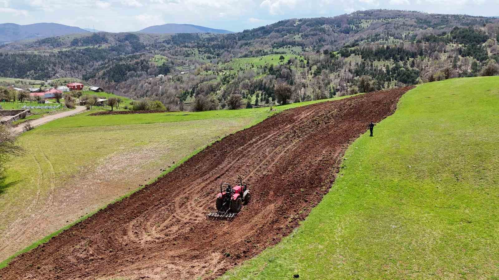 Ordu’nun atıl arazileri bereketleniyor: 34 bin 800 dekar atıl arazi tarıma kazandırıldı
