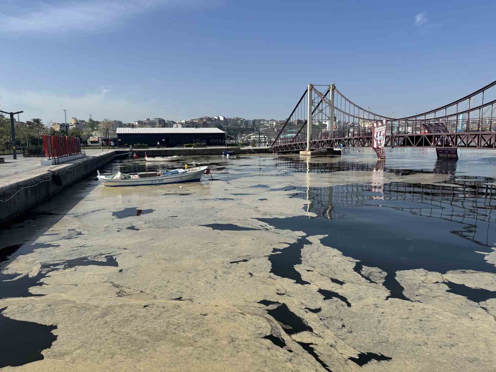 Bandırma ve Gönen sahillerinde müsilaj yüzeye çıktı
