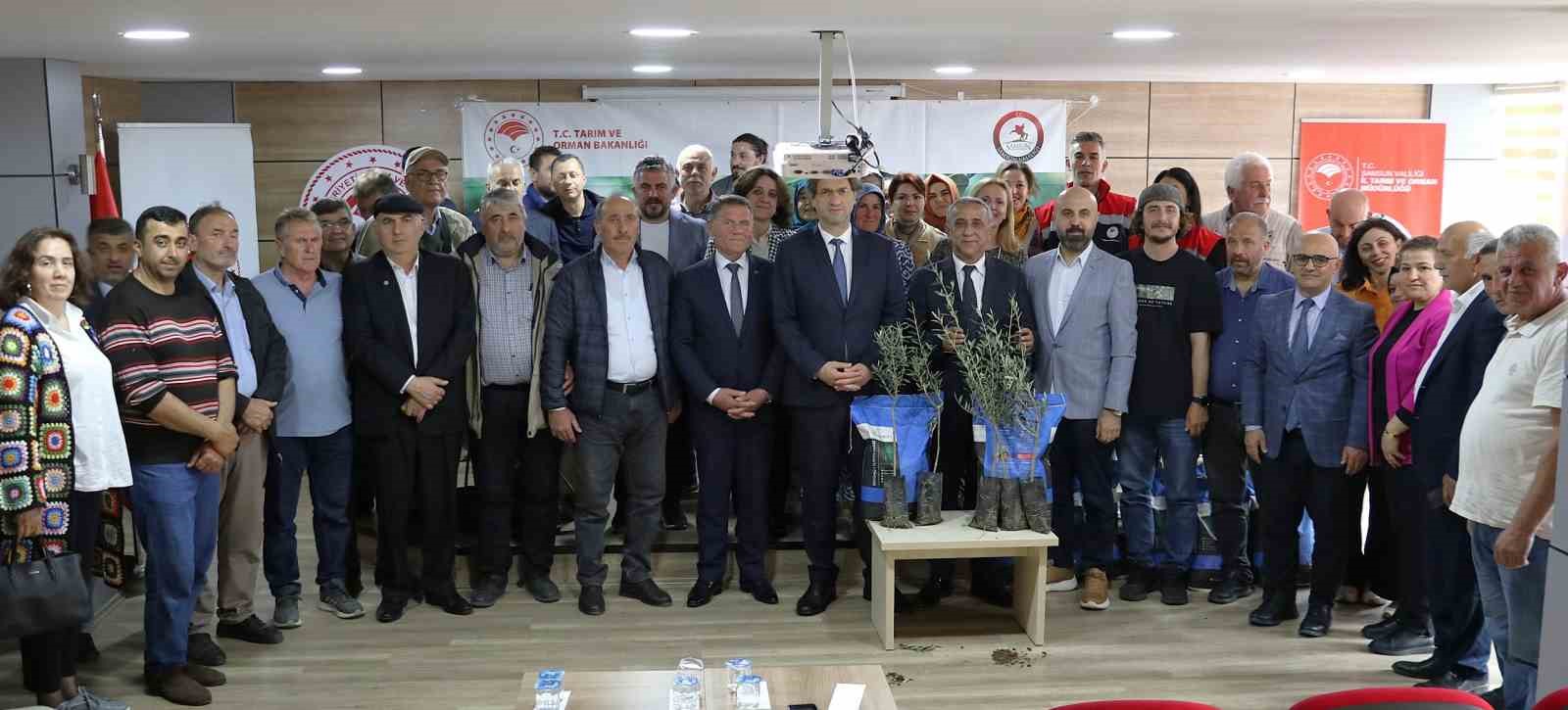 Samsun&rsquo;da zeytin yetiştiriciliği yeniden canlanıyor
