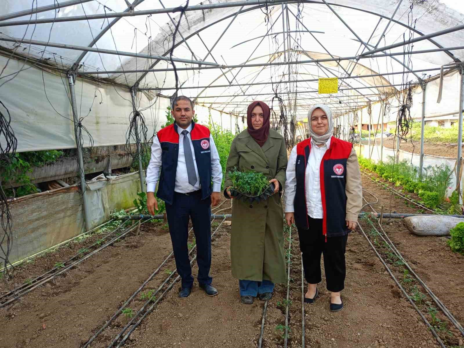 Fide desteği alan kadın çiftçilerin seraları incelendi