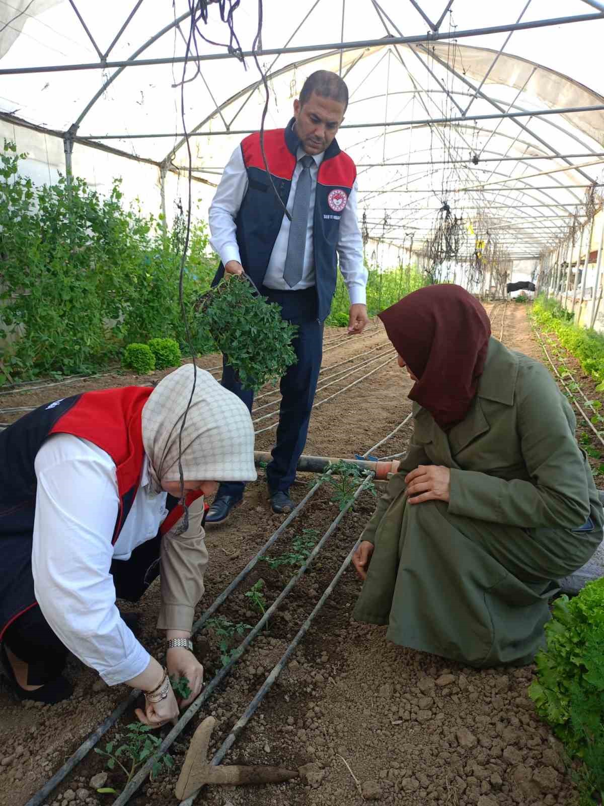 Fide desteği alan kadın &ccedil;ift&ccedil;ilerin seraları incelendi
