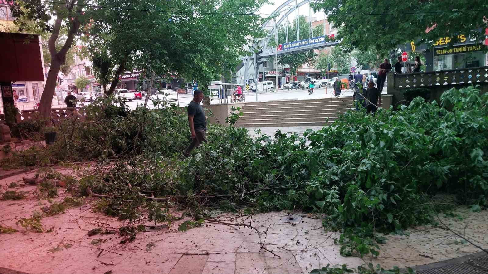 Kestii dal ayayla iterken den ii ar yaraland
