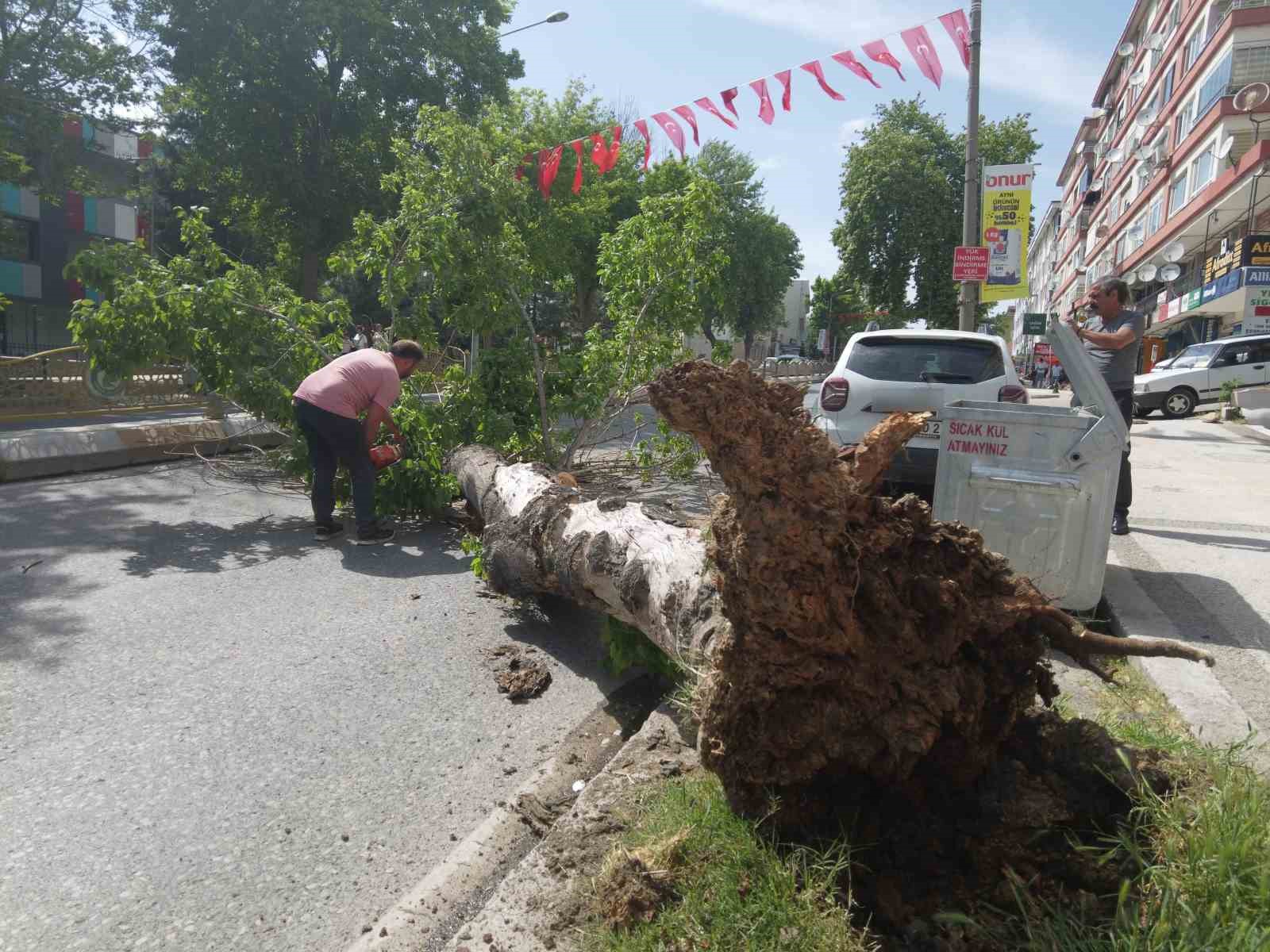 Edirne’de devrilen ağaç yolu trafiğe kapattı